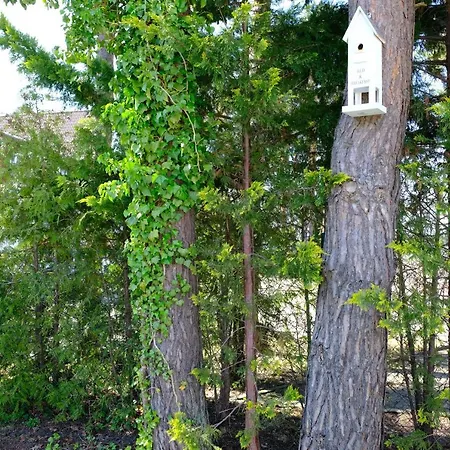 Strand4-quartier Ostseebad