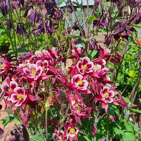 Strand4-quartier Ostseebad